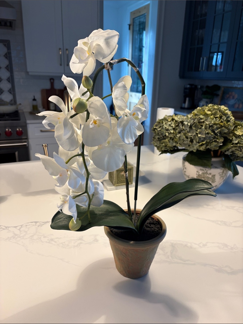 Pottery Barn White Phalaenopsis Faux Orchid with Green Foliage